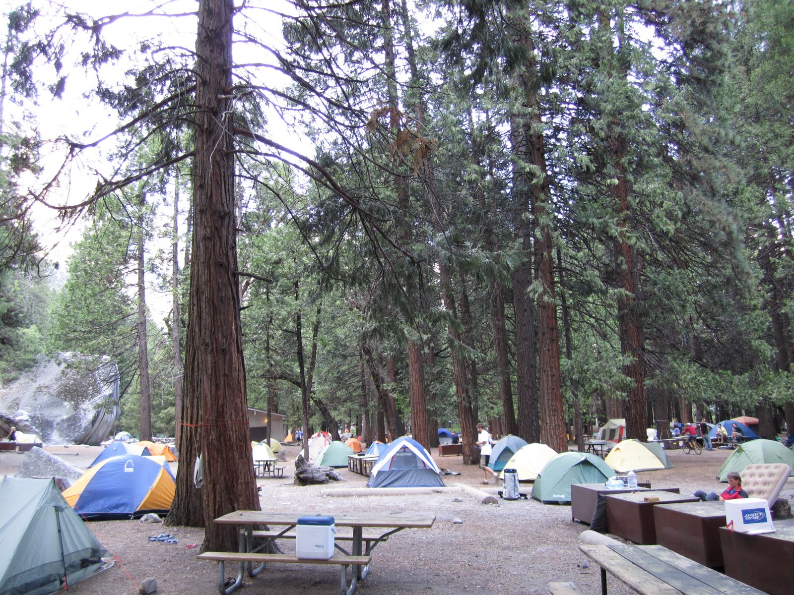 27++ One night camping in yosemite Best Camping Place